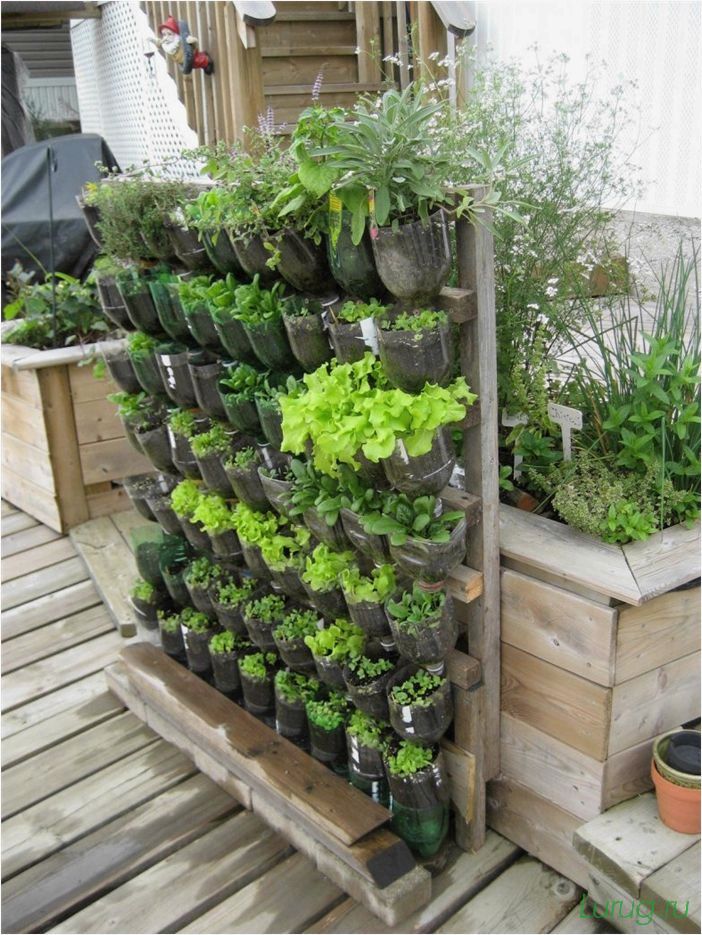 Вертикальное озеленение — какие растения выбрать, виды, искусственные и натуральные, создание опор своими руками