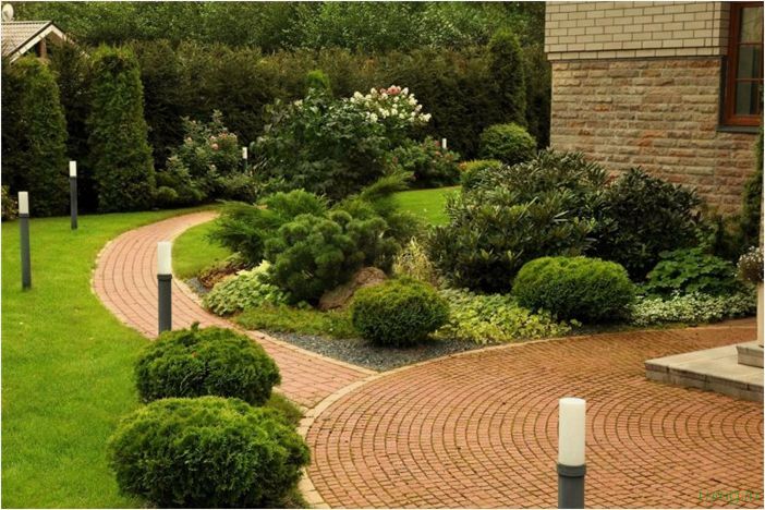 Озеленение двора — идеи ландшафтного дизайна, правила и рекомендации по озеленению, подбор растений, готовые схемы посадки