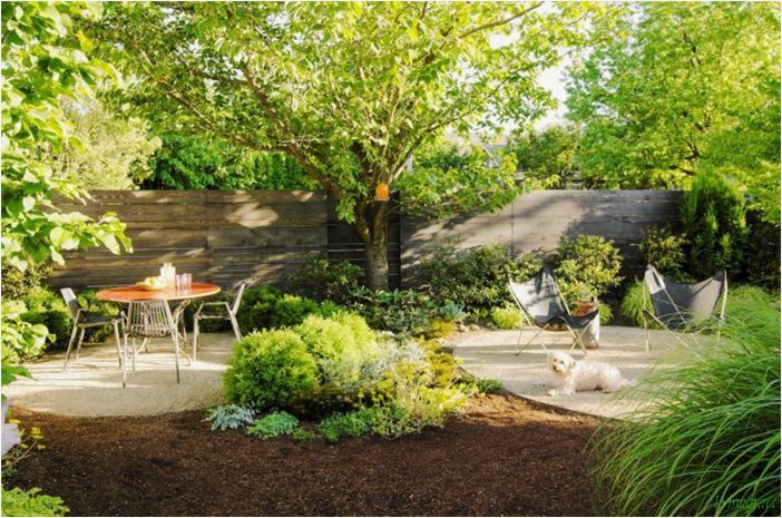 Озеленение двора — идеи ландшафтного дизайна, правила и рекомендации по озеленению, подбор растений, готовые схемы посадки