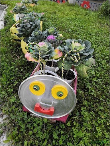 Цветочная клумба: идеи оформления, схема посадки растений, инструкция для начинающих, из многолетников и однолетников