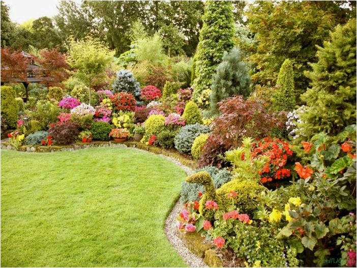 Декоративные кустарники: оформление ландшафтных композиций, пошаговая инструкция по обустройству сада