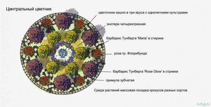 Клумбы своими руками: схемы посадки, варианты оформления и создания клумб, приподнятая, кольцевая