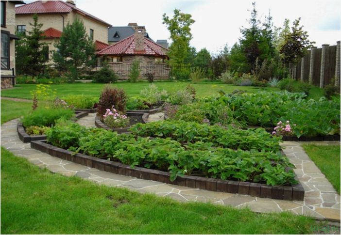 Как обустроить огород на дачном участке: планировка, полезные советы,  минимальные затраты