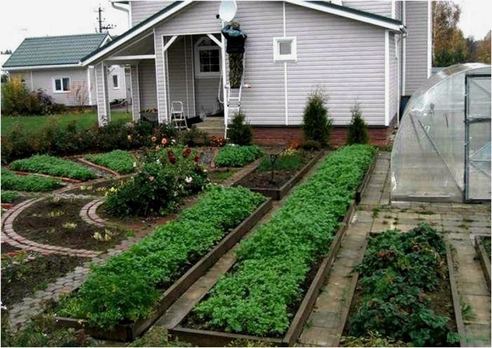 Как обустроить огород на дачном участке: планировка, полезные советы,  минимальные затраты