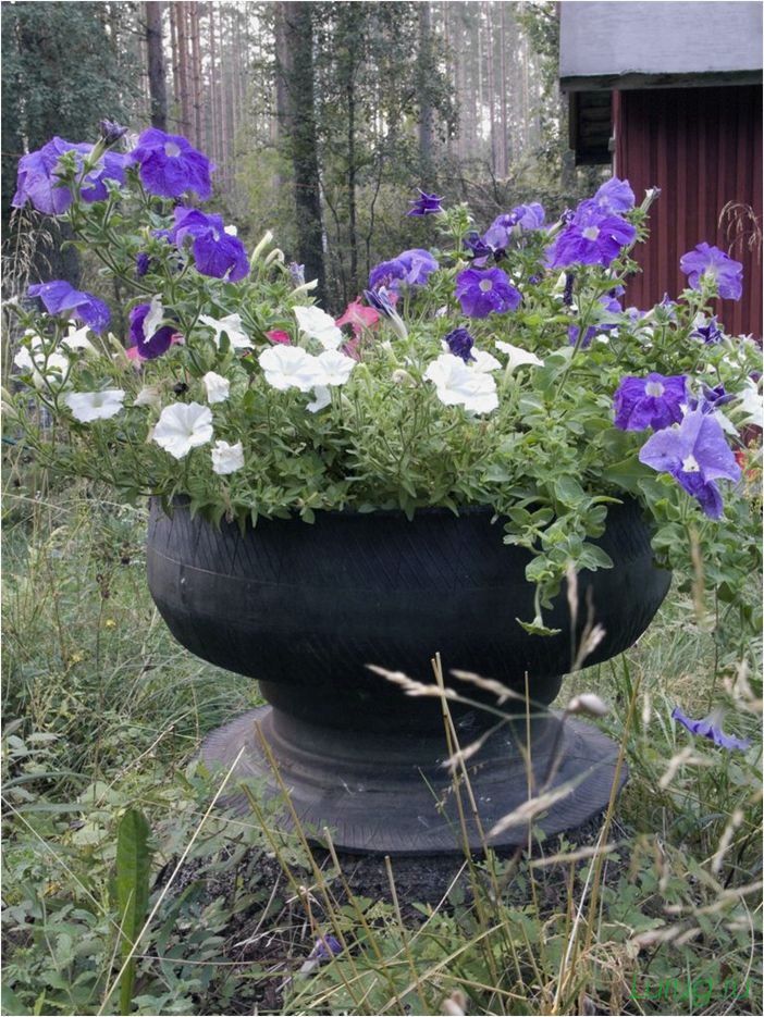 Многоярусная клумба: как посадить клумбу с цветами, выбор материалов и растений для посадки, варианты оформления цветника