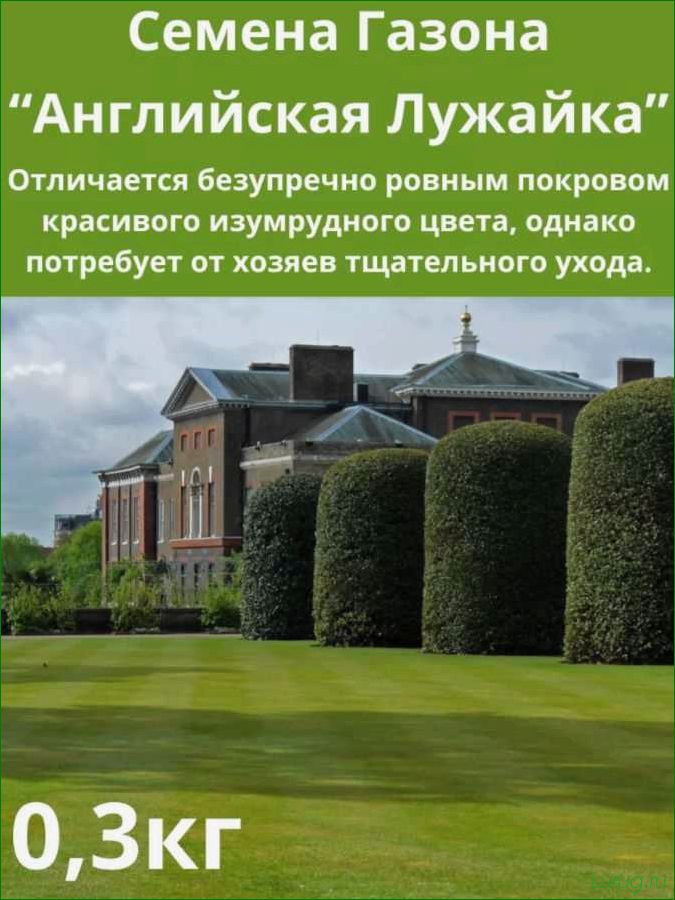 Идеальный партерный газон для вашего сада