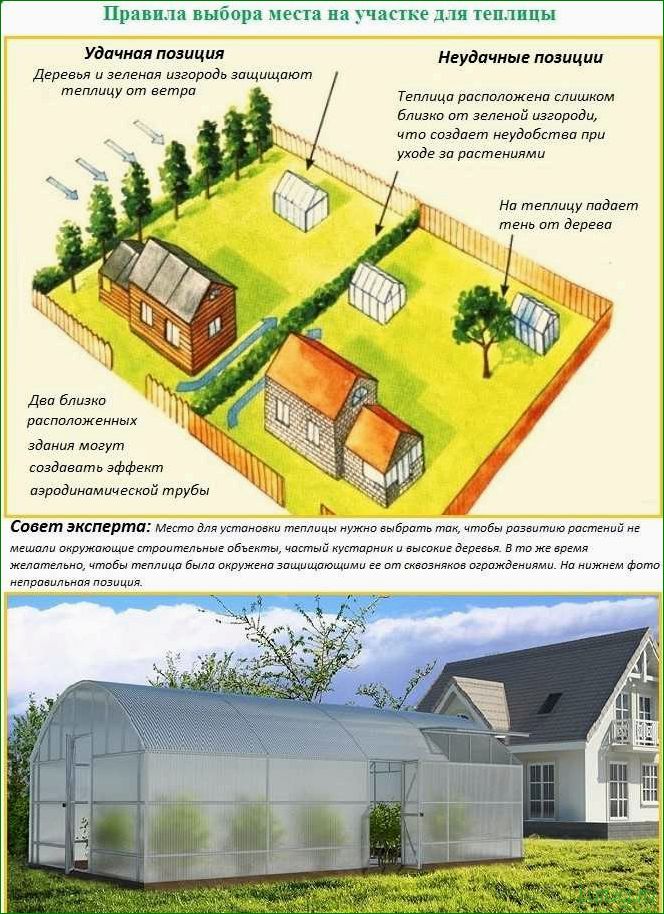 Основные типы теплиц и парников для дачного участка