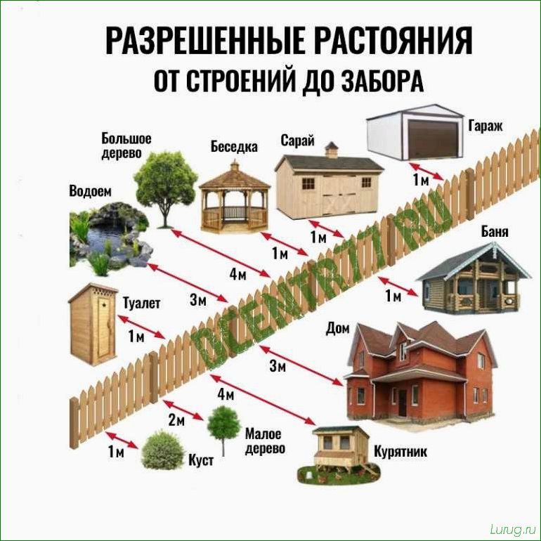 Основные типы построек для содержания живности на дачном участке